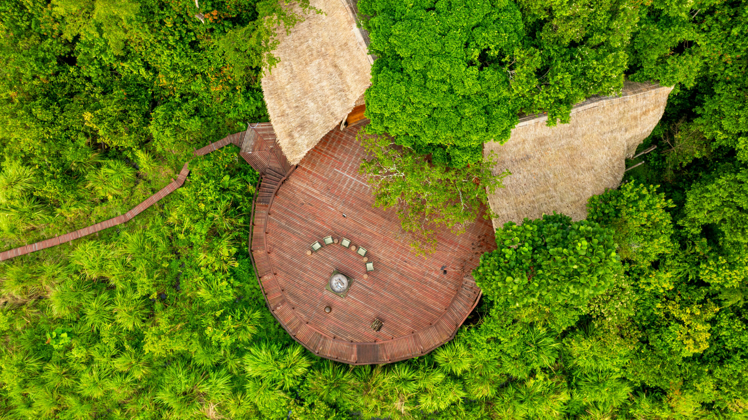 dji 0581